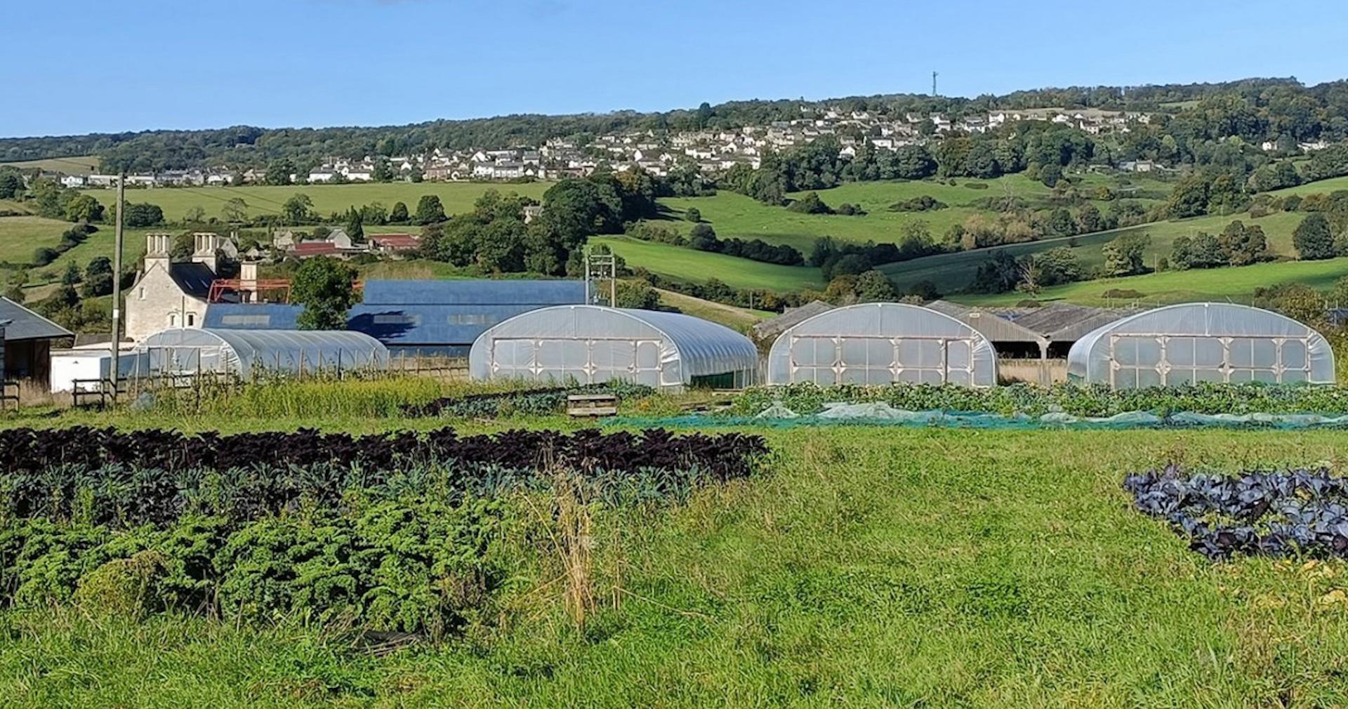 Good Small Farms - Stroud