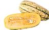 Squash: Delicata