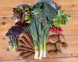 Image of Seasonal Veg Box MEDIUM