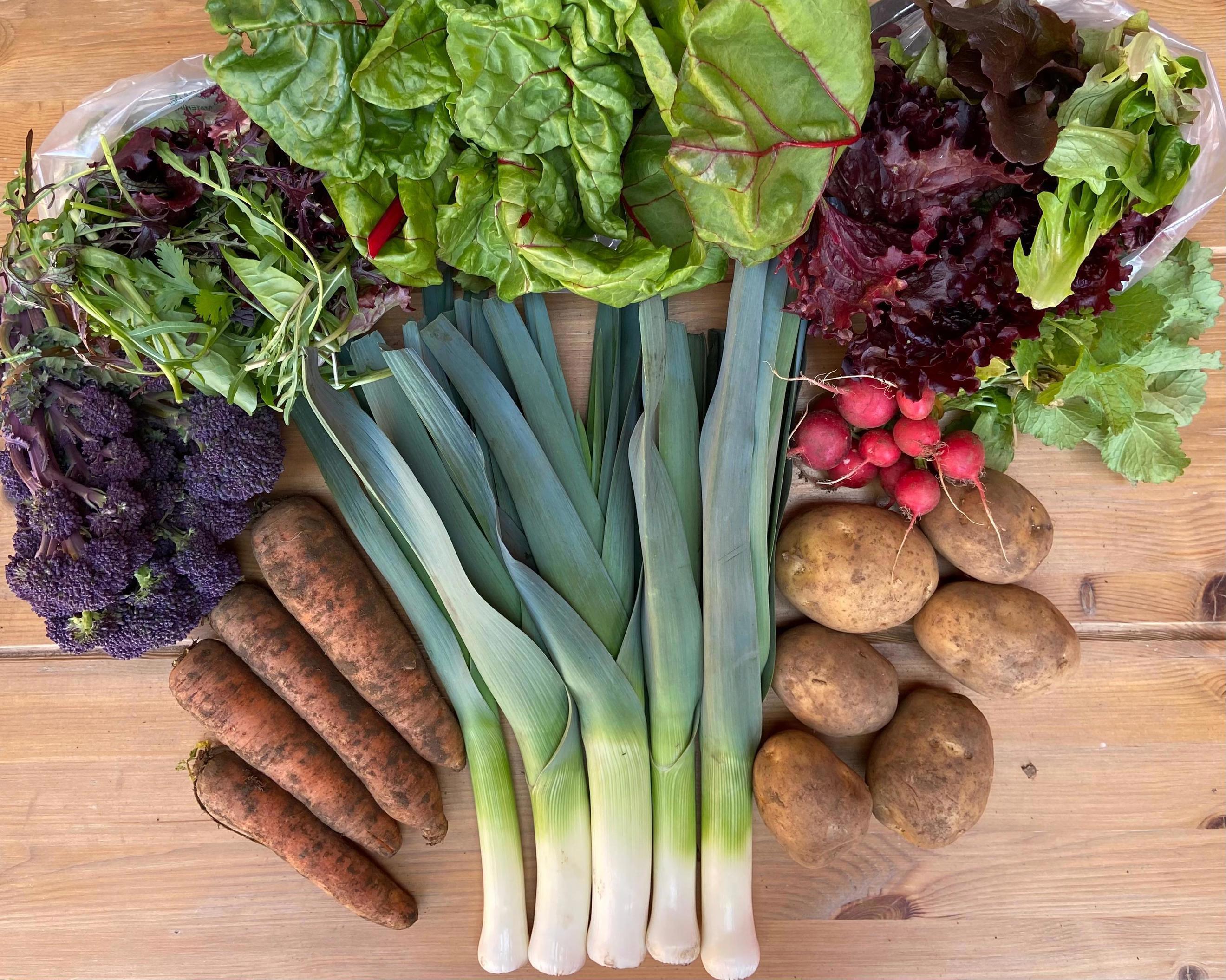 Seasonal Veg Bag LARGE