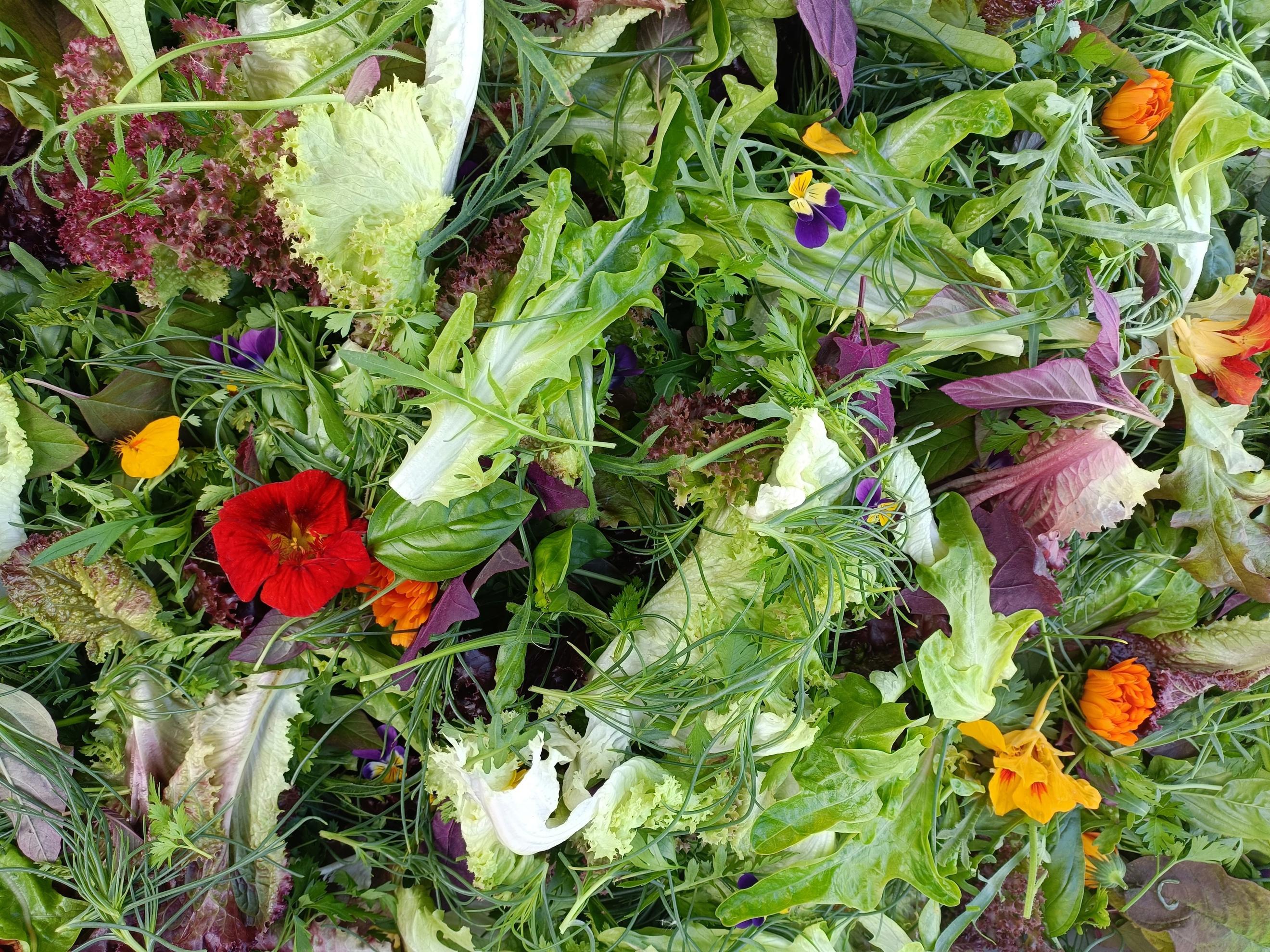 Mixed salad 200g