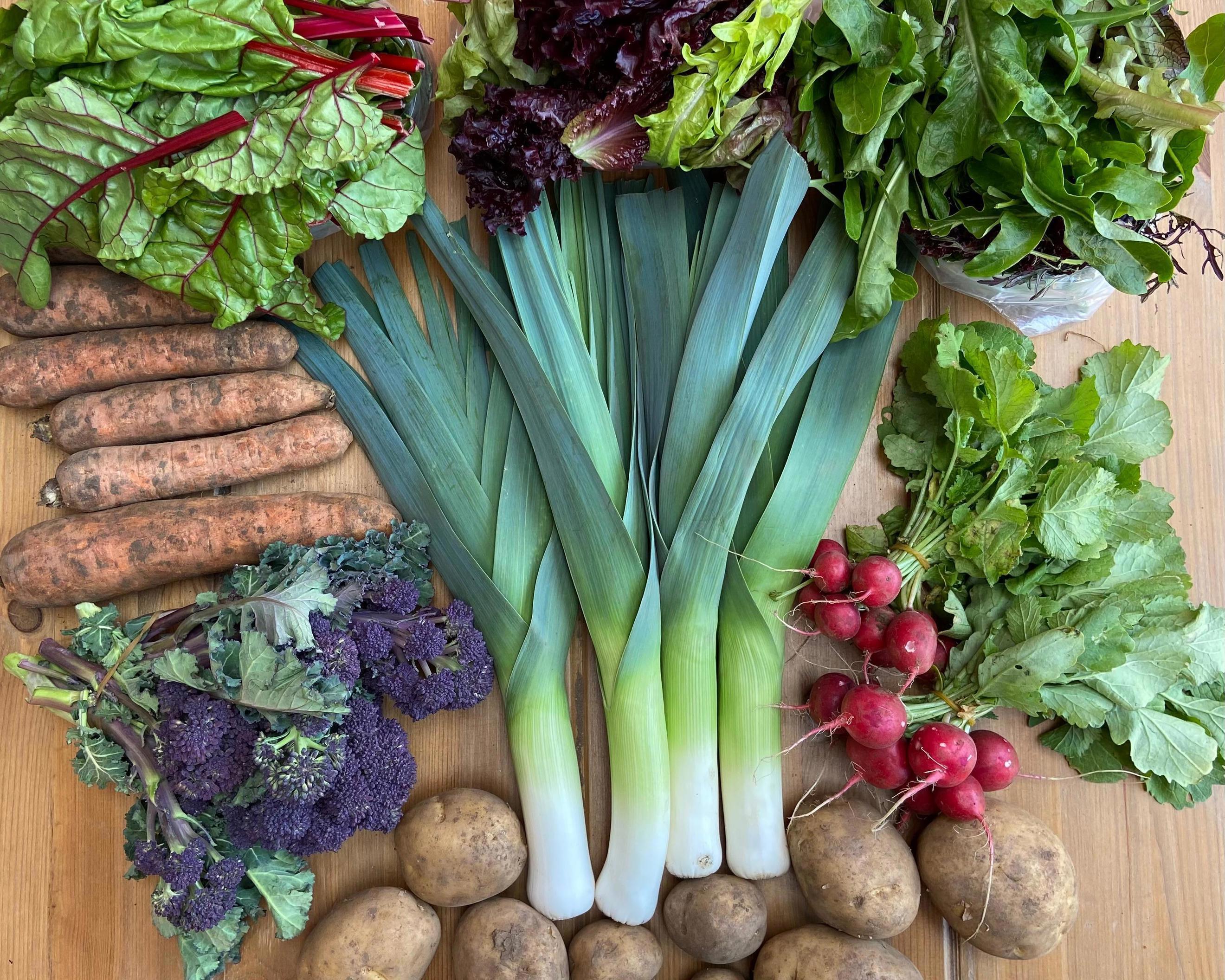Seasonal Veg Bag XL