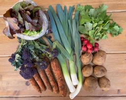 Image of Seasonal Veg Box SMALL