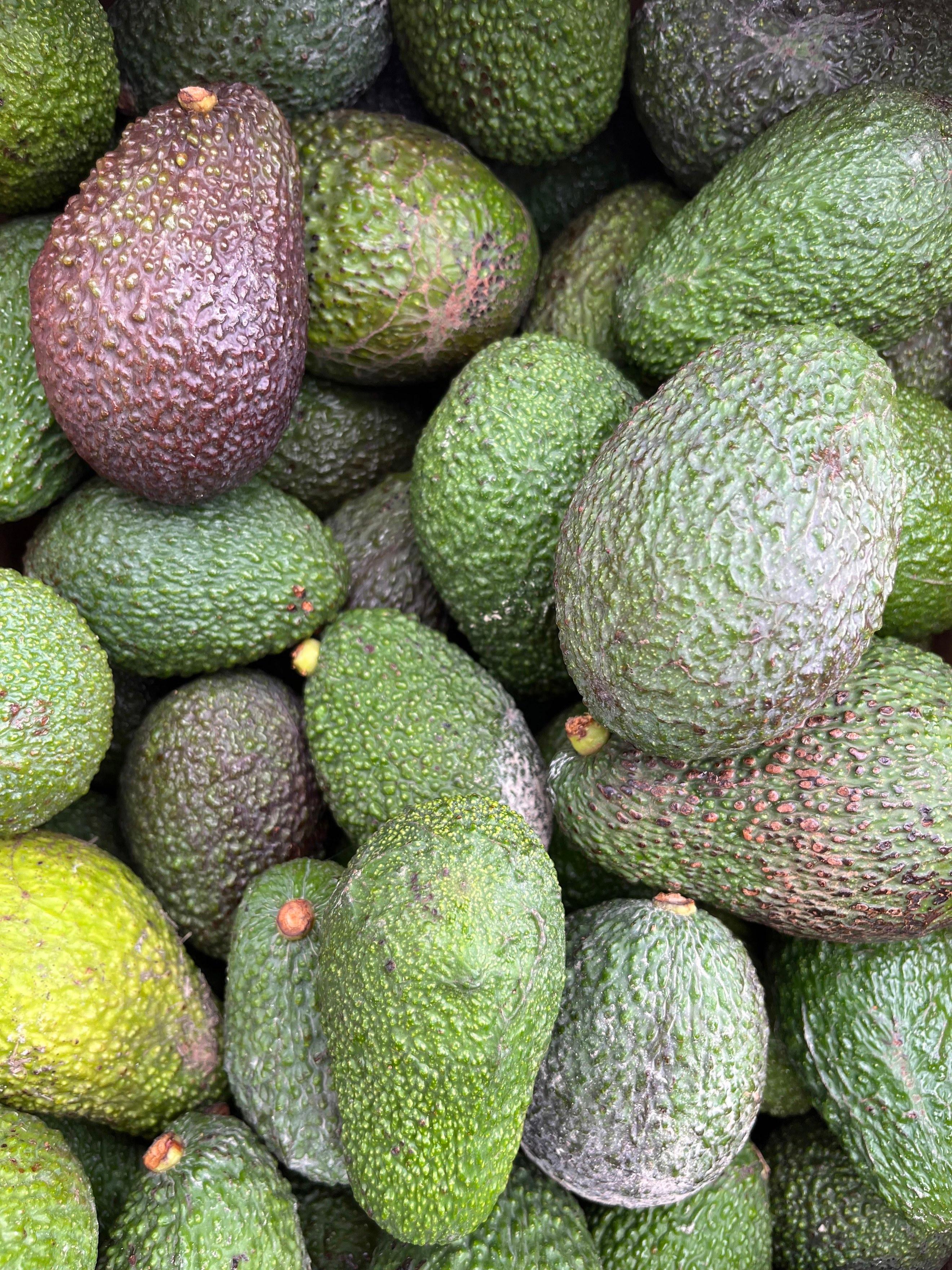 Organic Avocados